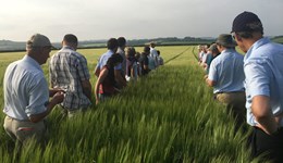 Farming without subsidies (a journey of New Zealand farming)